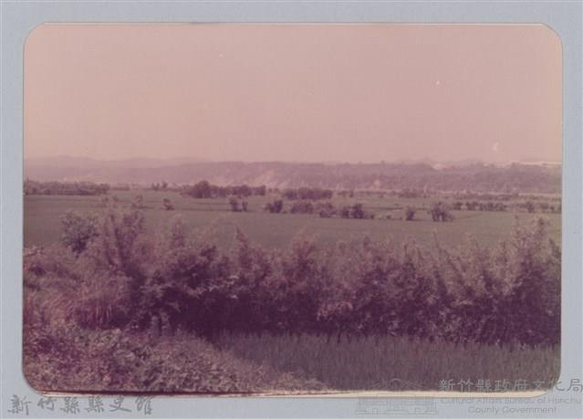 林保仁縣長主政照片：頭前溪剷除高莖作物-30藏品圖，第1張