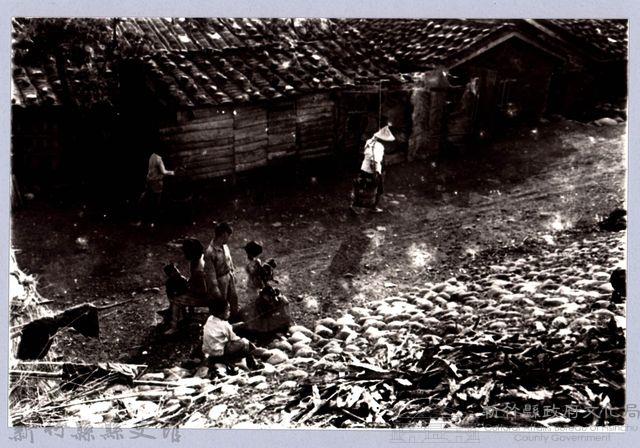 堤防人家（1966，芎林）藏品圖，第1張