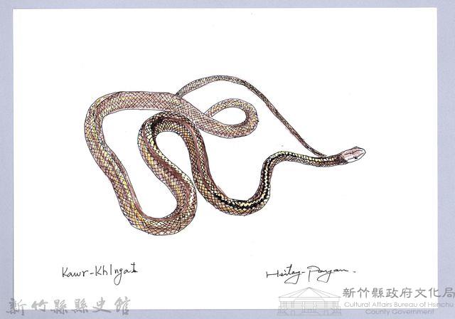 泰雅文物畫冊1-129過山刀藏品圖，第1張