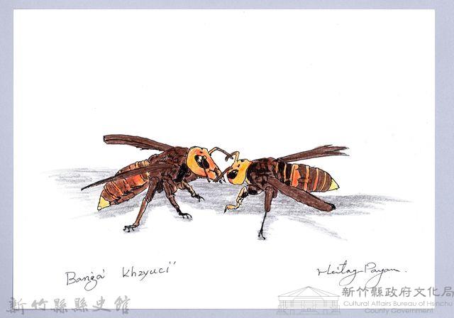 泰雅文物畫冊1-帝王蜂藏品圖，第1張