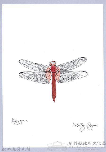 泰雅文物畫冊2-53褐基蜻蜓藏品圖，第1張