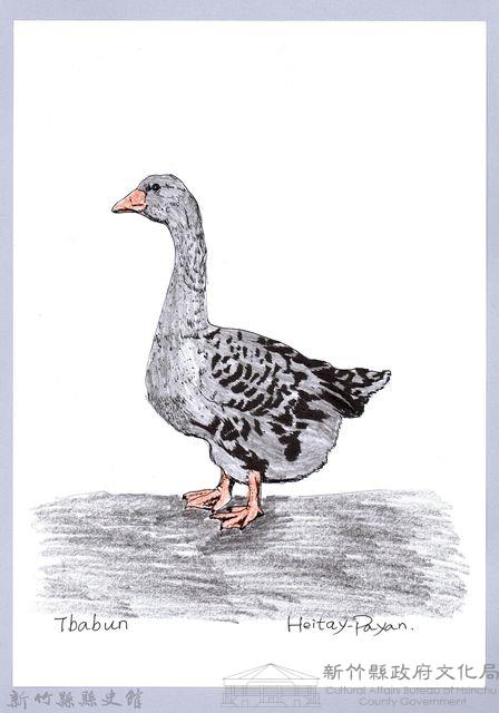 泰雅文物畫冊1-83灰雁藏品圖，第1張