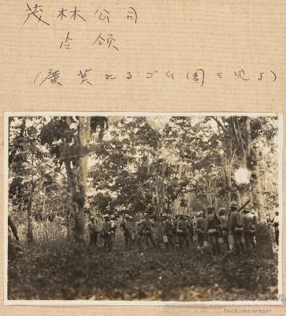 海南戰役？林公司進佔廣莫橡膠樹園照片藏品圖，第1張