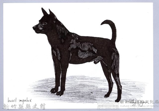 泰雅文物畫冊1-75黑犬藏品圖，第1張
