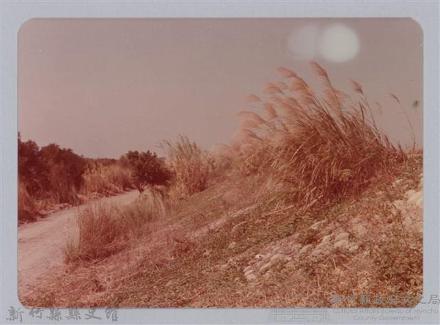 林保仁縣長主政照片：新竹縣芎林堤防防汛搶救演習-60藏品圖，第1張