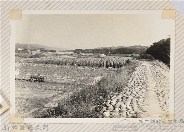 林保仁縣長主政照片：縣長林保仁視察-106藏品圖，第1張