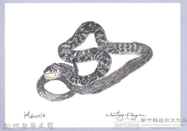 泰雅文物畫冊1-131標蛇藏品圖，第1張