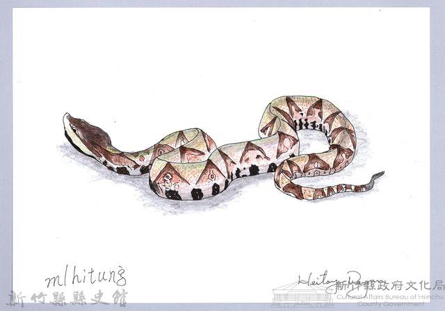 泰雅文物畫冊1-121百步蛇藏品圖，第1張