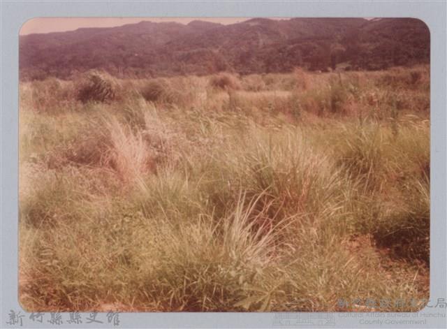 林保仁縣長主政照片：新竹縣新埔鎮六十七年度防汛演習-66藏品圖，第1張