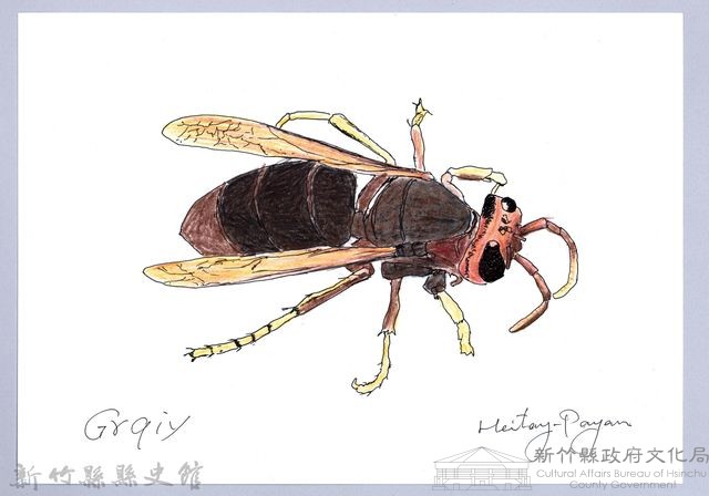 泰雅文物畫冊1-109黃腳虎頭蜂-1藏品圖，第1張