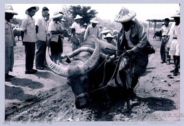 鄧雨賢相關照片134：牛墟藏品圖，第1張