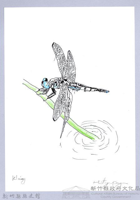 泰雅文物畫冊2-55線紋蜻蜓藏品圖，第1張