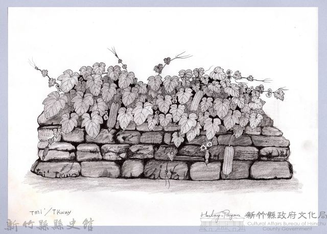 黑帶巴彥畫冊-70作物耕種：絲瓜藏品圖，第1張