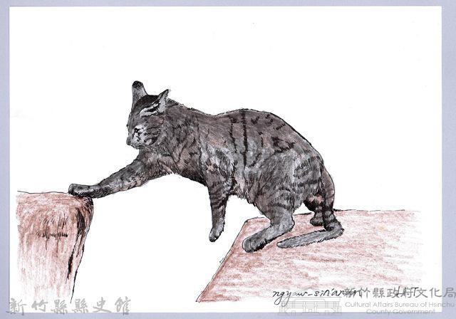 泰雅文物畫冊1-80玩耍中的家貓藏品圖，第1張