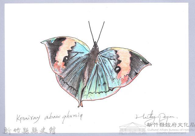 泰雅文物畫冊2-30枯葉蝶-2藏品圖，第1張