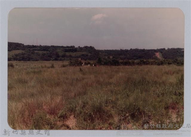 林保仁縣長主政照片：頭前溪剷除高莖作物-7藏品圖，第1張