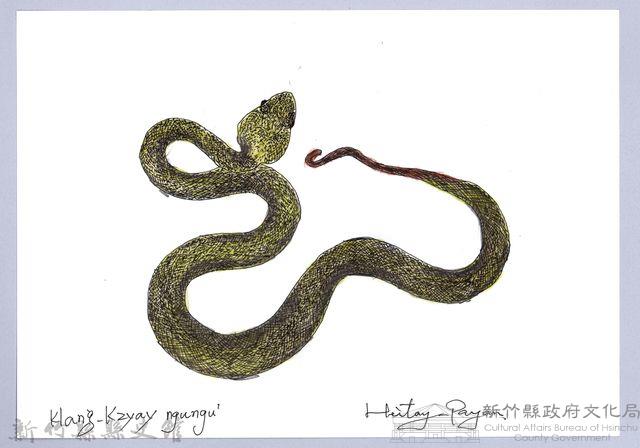 泰雅文物畫冊1-126赤尾青竹絲藏品圖，第1張