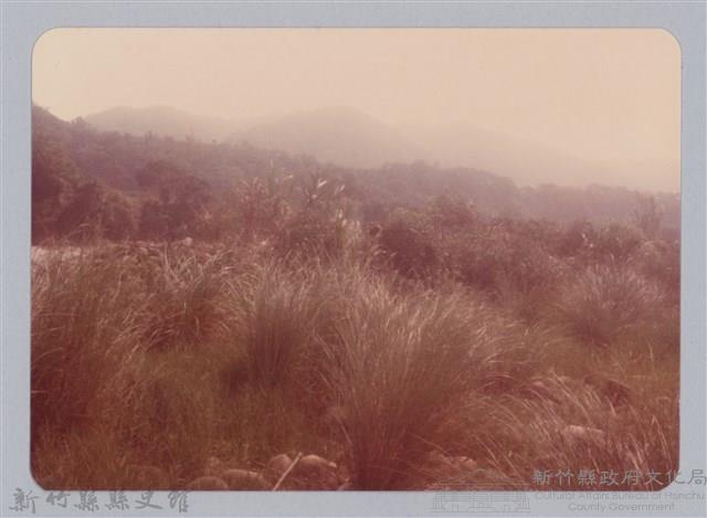 林保仁縣長主政照片：新竹縣新埔鎮六十七年度防汛演習-71藏品圖，第1張