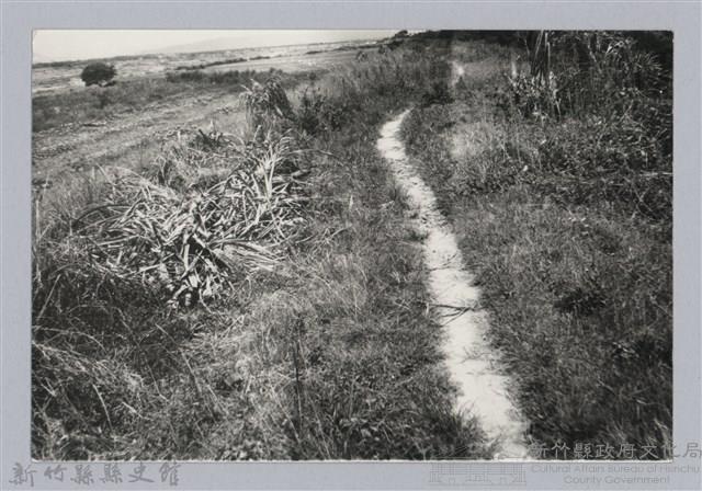 林保仁縣長主政照片：新竹縣芎林堤防防汛搶救演習-35藏品圖，第1張