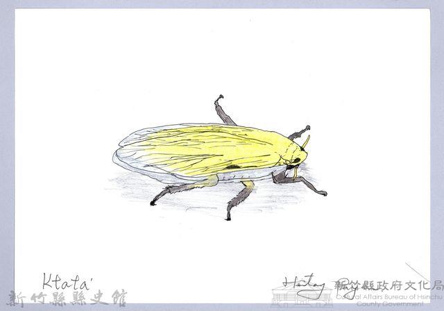 泰雅文物畫冊3-12葉蟬-1藏品圖，第1張