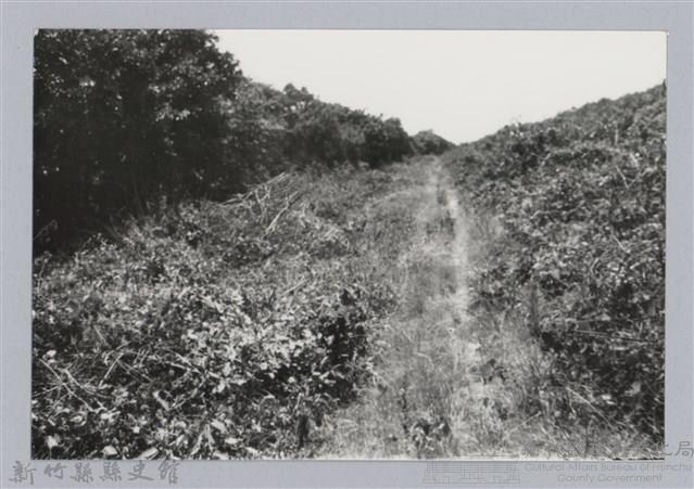 林保仁縣長主政照片：新竹縣芎林堤防防汛搶救演習-15藏品圖，第1張