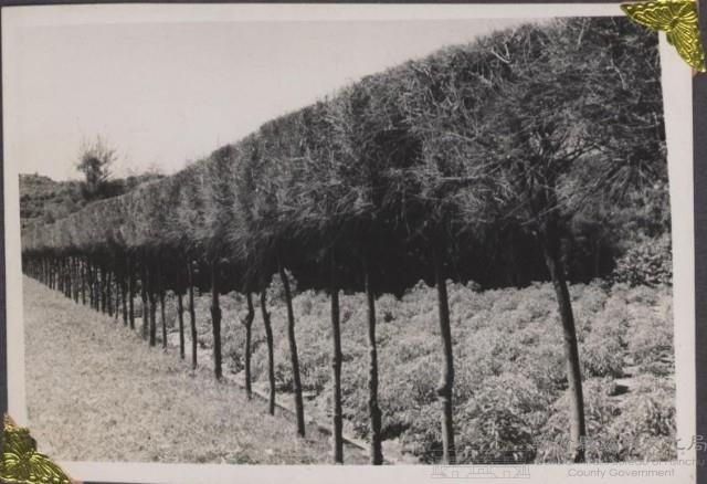 登錄號:2008.001.0668藏品圖，第1張