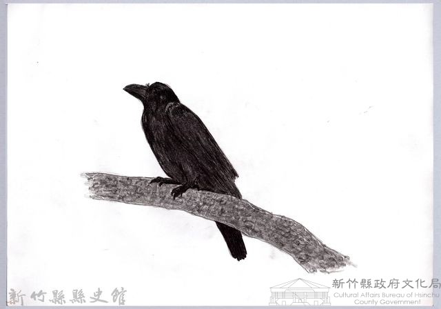 黑帶巴彥圖稿-3家烏鴉藏品圖，第1張
