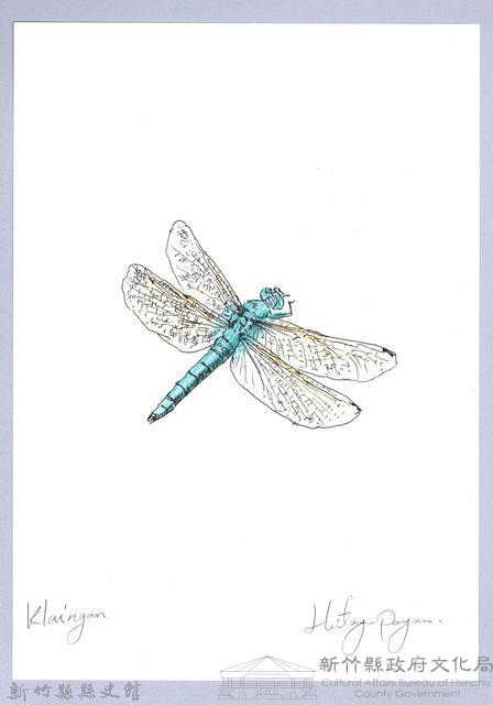 泰雅文物畫冊3-1金黃蜻蜓藏品圖，第1張