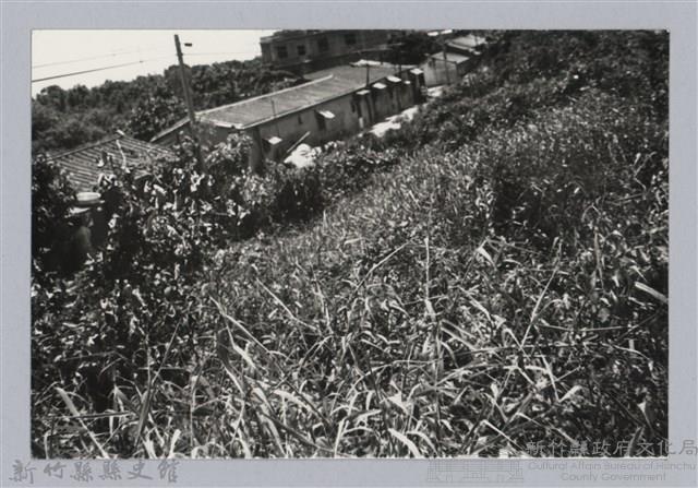 林保仁縣長主政照片：新竹縣芎林堤防防汛搶救演習-44藏品圖，第1張