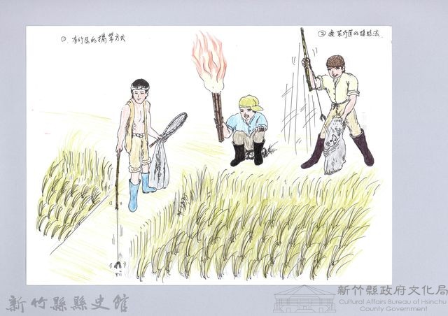 記憶中桃山村童玩的演進-17釣青蛙藏品圖，第1張
