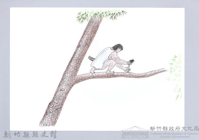 狩獵用具漁用-9設置飛鼠陷阱藏品圖，第1張