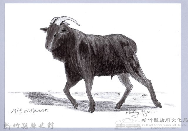 泰雅文物畫冊1-69吉安山羊藏品圖，第1張
