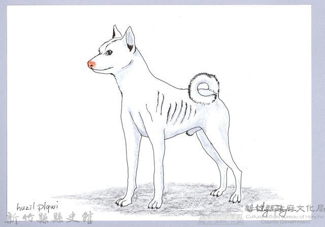 泰雅文物畫冊1-74白犬藏品圖，第1張