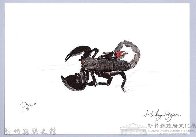 泰雅文物畫冊1-160非洲帝王蠍藏品圖，第1張