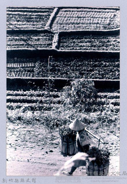 鄧雨賢相關照片23：挑擔藏品圖，第1張