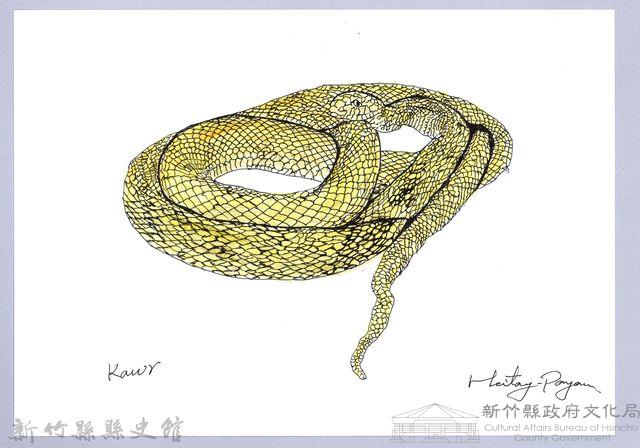 泰雅文物畫冊1-130王錦蛇藏品圖，第1張