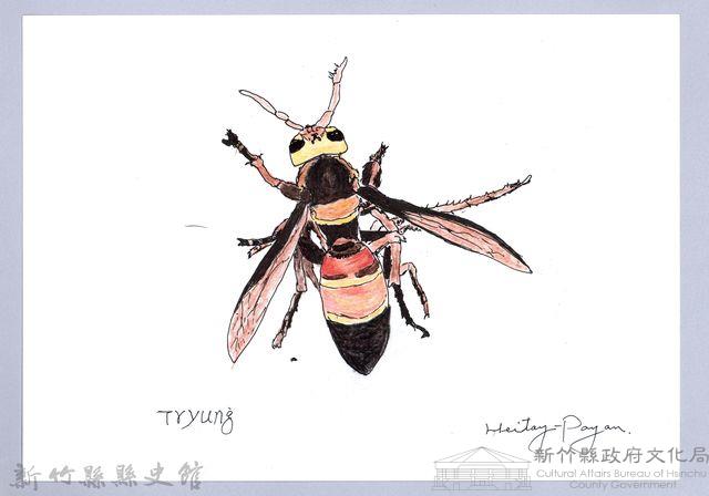 泰雅文物畫冊1-黑尾虎頭蜂-2藏品圖，第1張
