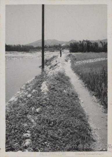 登錄號:2008.001.1142藏品圖，第1張