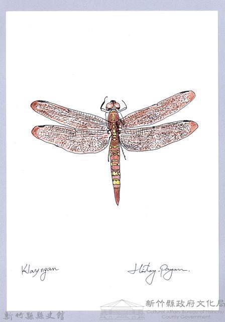泰雅文物畫冊2-54硃紅蜻蜓藏品圖，第1張