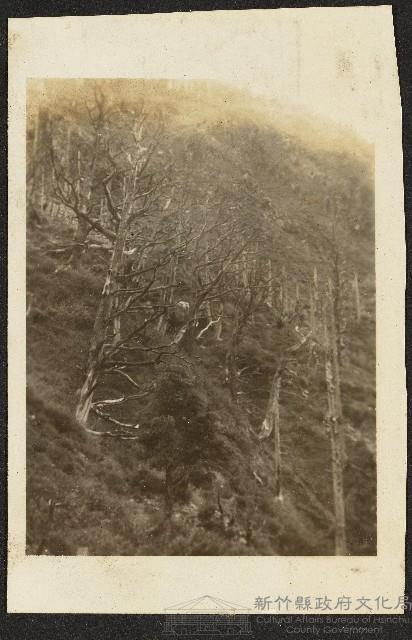 新高山照片藏品圖，第1張