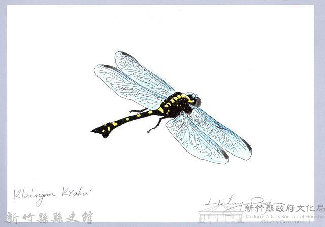 泰雅文物畫冊3-6海南春蜓藏品圖，第1張