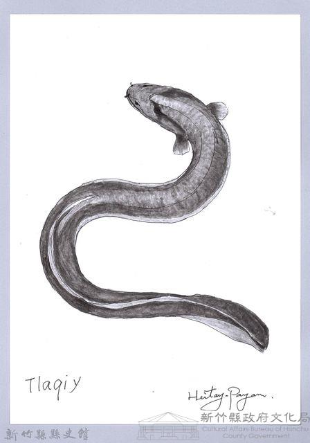 泰雅文物畫冊1-84白鰻-2藏品圖，第1張