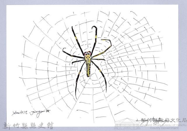 泰雅文物畫冊3-17人面蜘蛛藏品圖，第1張
