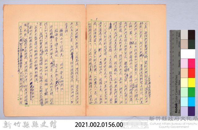 〈非印遊記—三月八日〉藏品圖，第10張