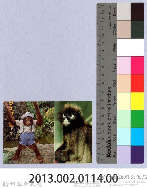 ［剪報］ㄅㄆㄇ猴園藏品圖，第4張