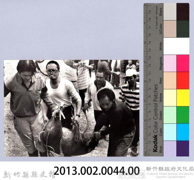 殺豬（2004，五峰）藏品圖，第4張