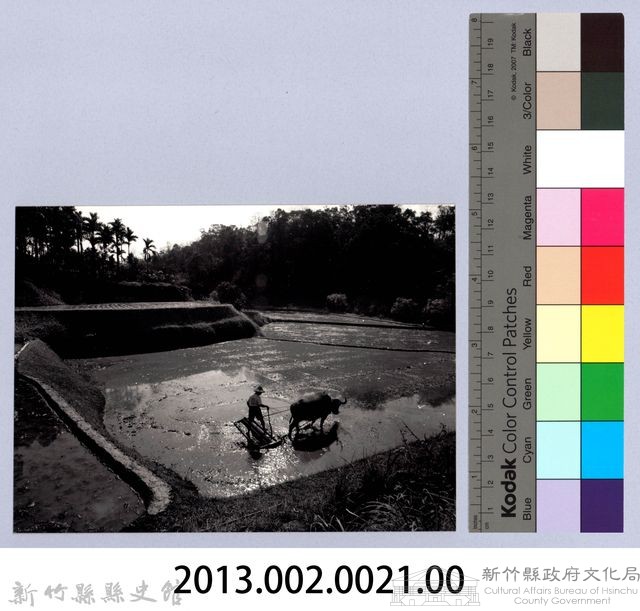 最後的耕牛（1999，北埔）藏品圖，第4張