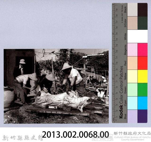 神豬（1988，南庄）藏品圖，第4張