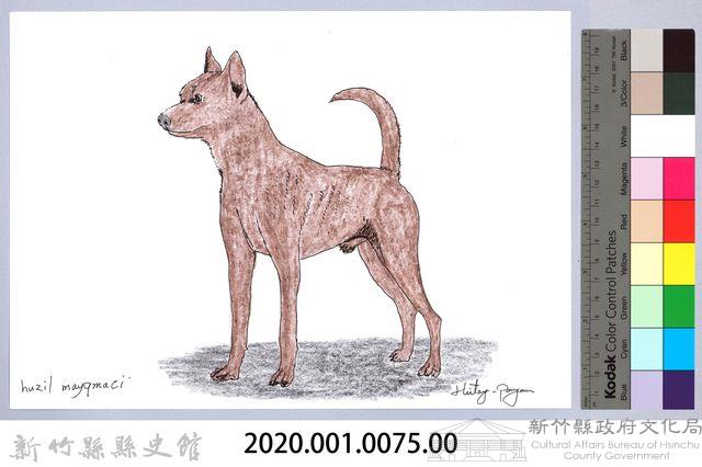 泰雅文物畫冊1-77棕犬藏品圖，第2張