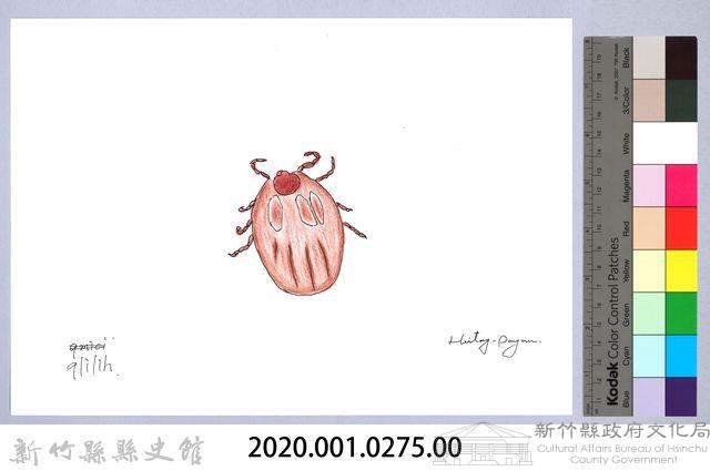 泰雅文物畫冊3-30壁蝨藏品圖，第2張